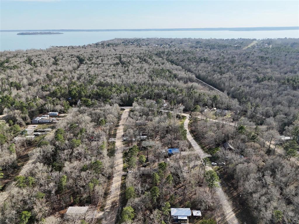 TBD Alta Vista Drive, Livingston, Texas image 1