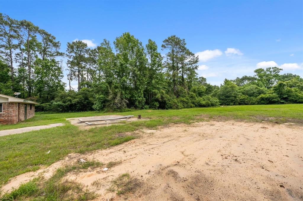13541 Bert Brown Road, Conroe, Texas image 12