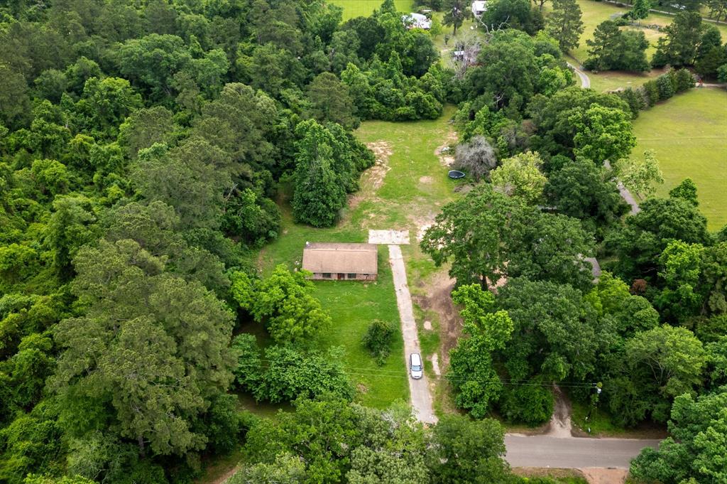 13541 Bert Brown Road, Conroe, Texas image 2