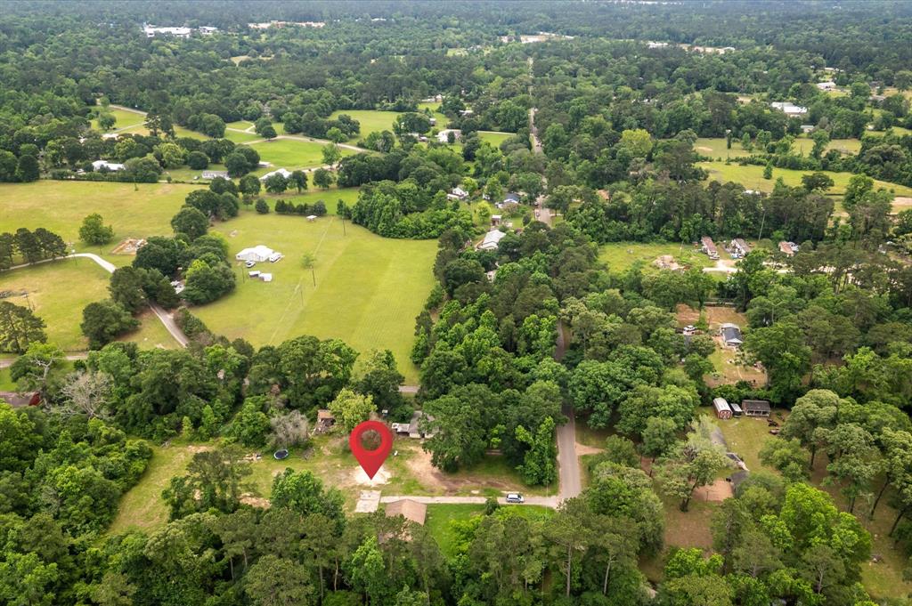13541 Bert Brown Road, Conroe, Texas image 4