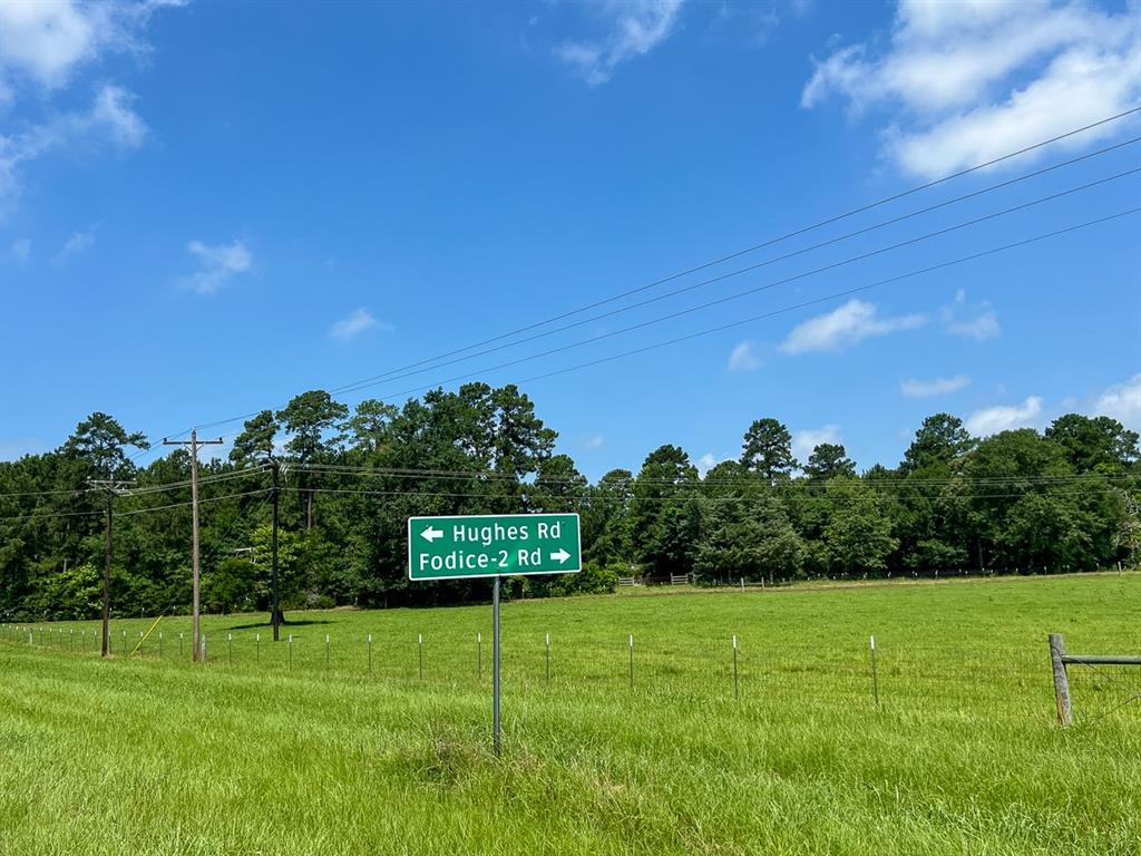 3 Fodice-2 Road, Pennington, Texas image 12