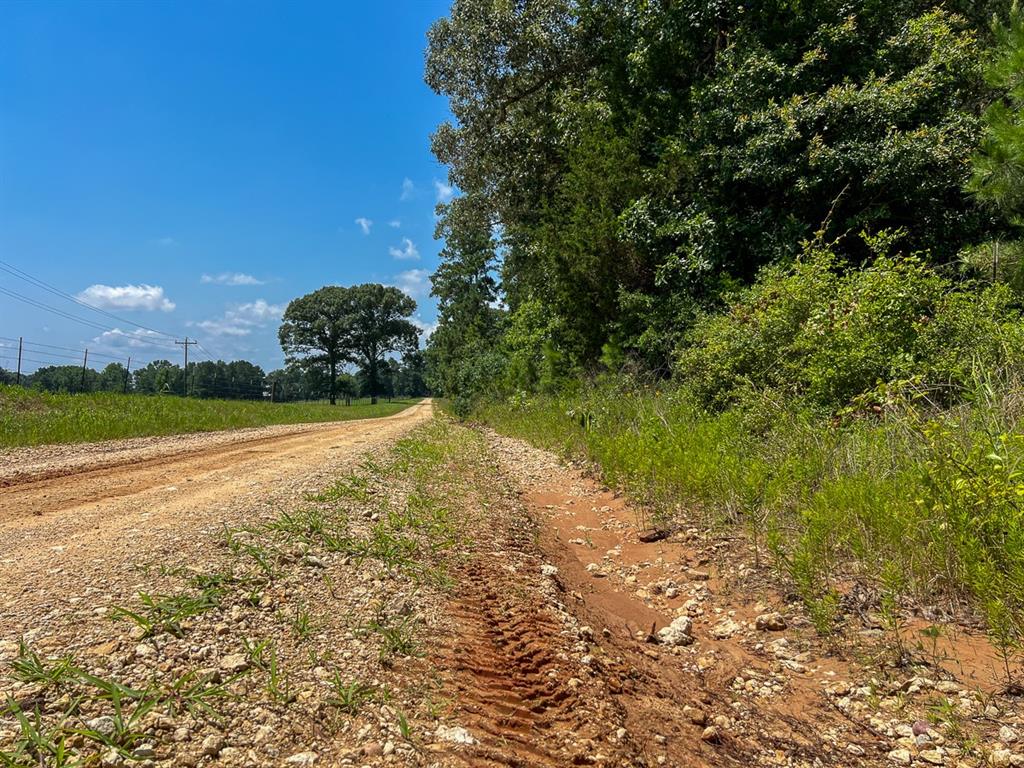 3 Fodice-2 Road, Pennington, Texas image 11