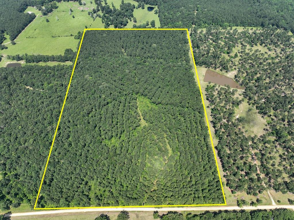 3 Fodice-2 Road, Pennington, Texas image 1