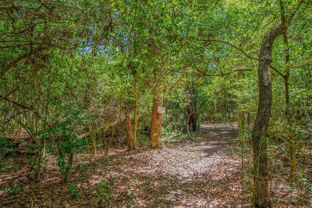 6406 Old Hickory Grove, Franklin, Texas image 47