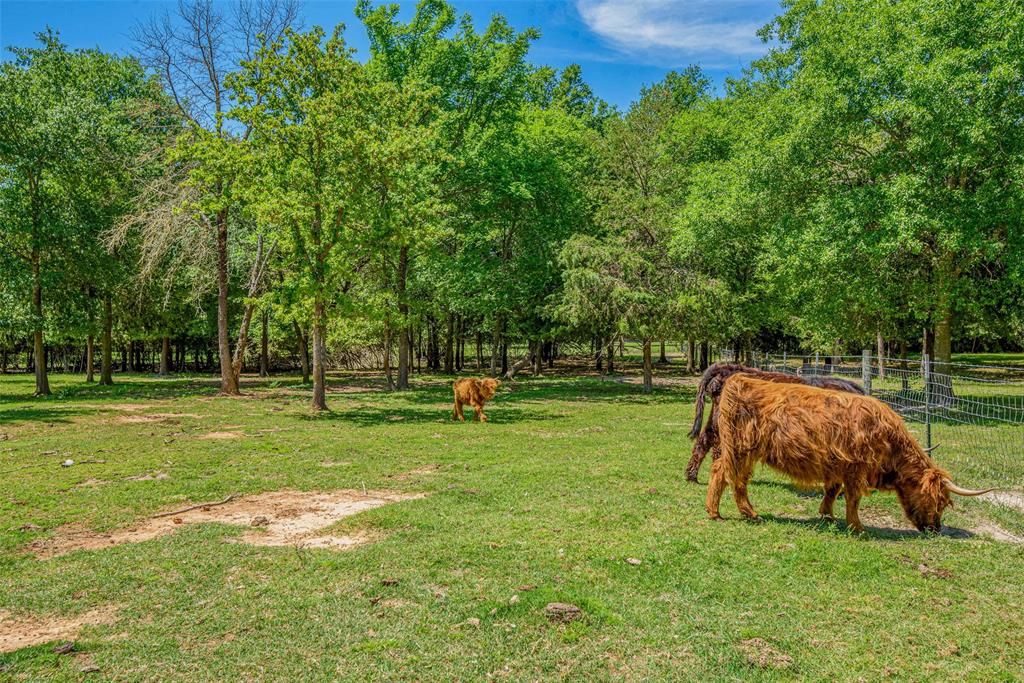 6406 Old Hickory Grove, Franklin, Texas image 48