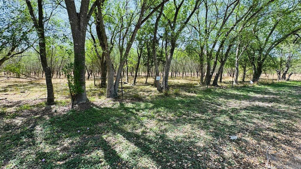 Lot 26/27 10th Street, Premont, Texas image 4