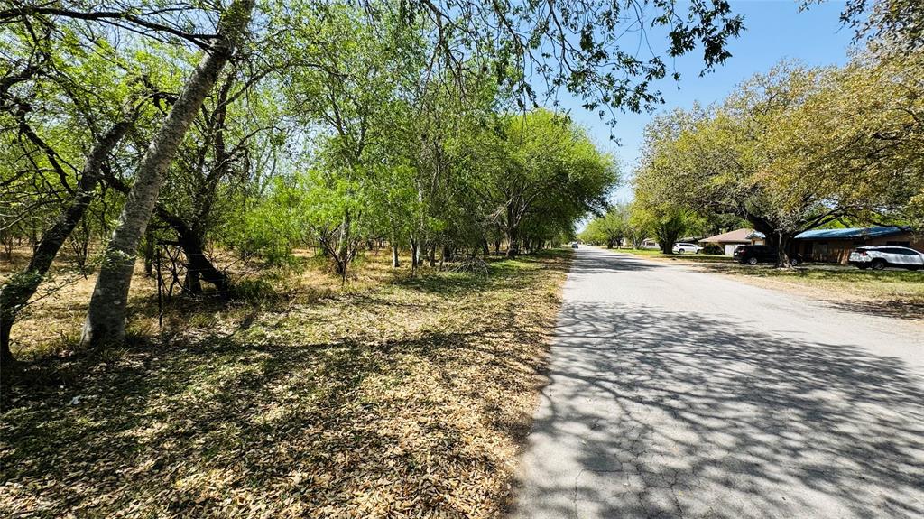 Lot 26/27 10th Street, Premont, Texas image 1