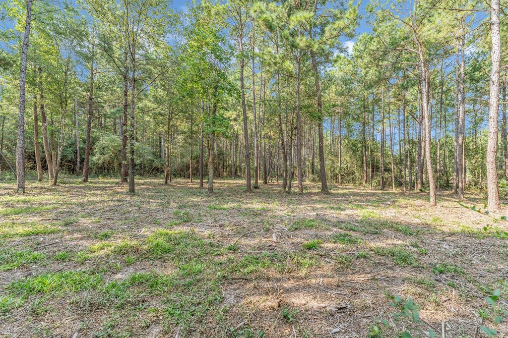 8304 Leafbrook Court, Montgomery, Texas image 12