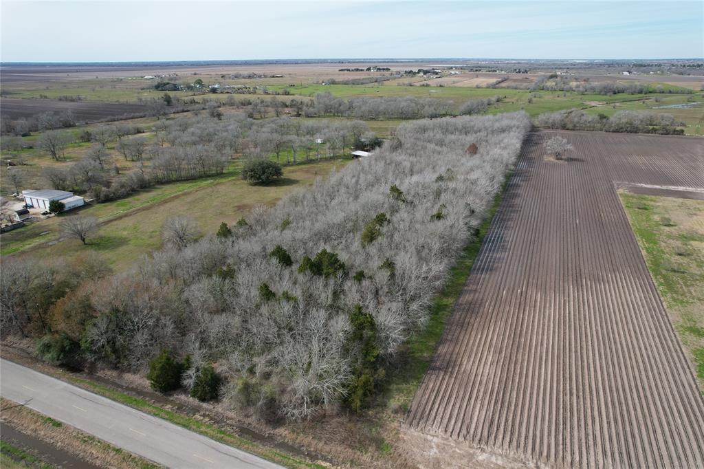 Modena School Road, Rosenberg, Texas image 7