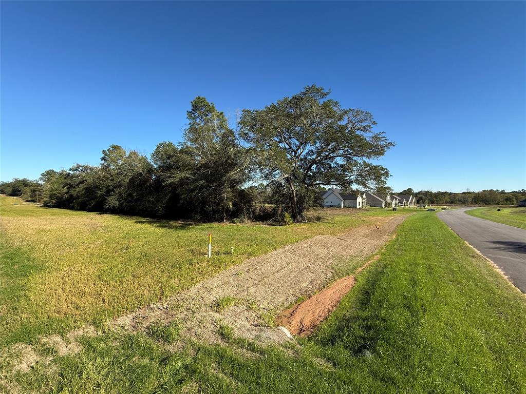 9502 Old Cedars Drive, Plantersville, Texas image 3