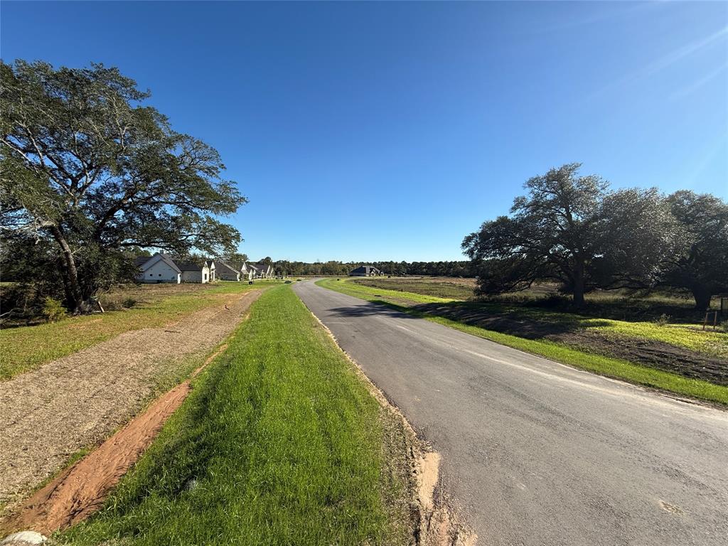 9502 Old Cedars Drive, Plantersville, Texas image 4