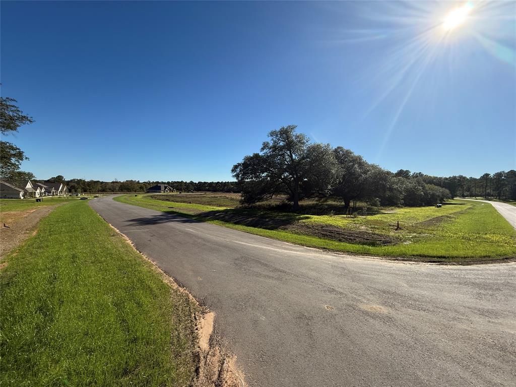 9502 Old Cedars Drive, Plantersville, Texas image 5