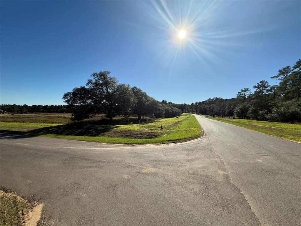 9502 Old Cedars Drive, Plantersville, Texas image 6