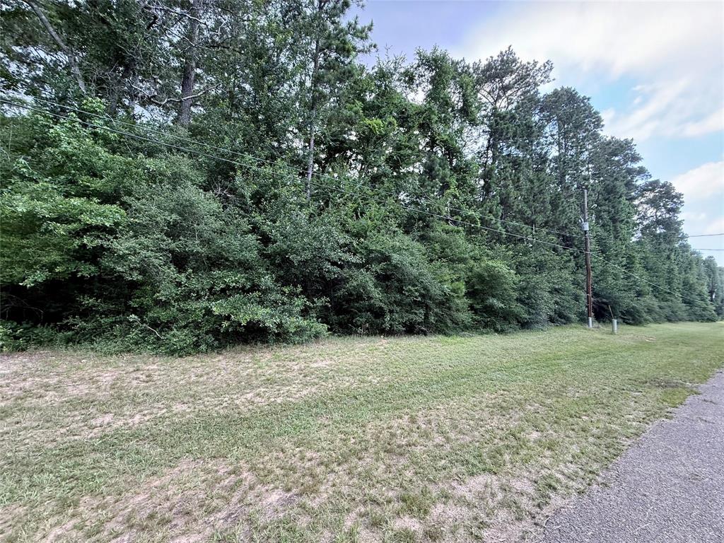 207 Creekside Dr, Magnolia, Texas image 3