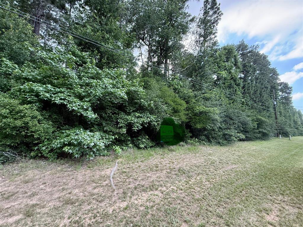 207 Creekside Dr, Magnolia, Texas image 1