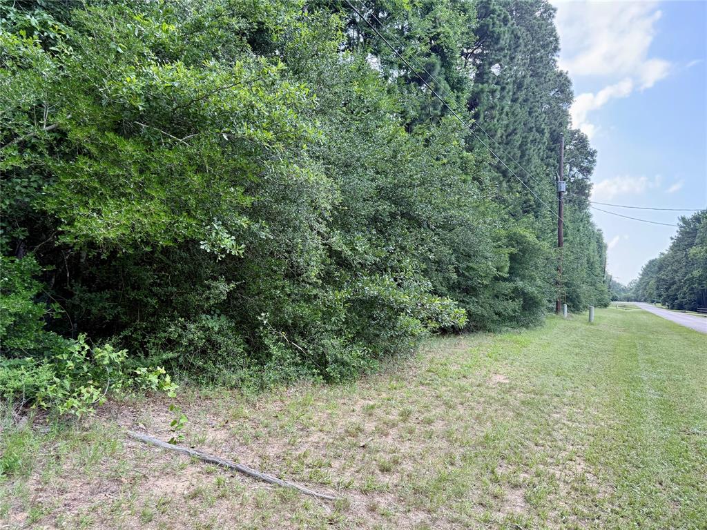 207 Creekside Dr, Magnolia, Texas image 5