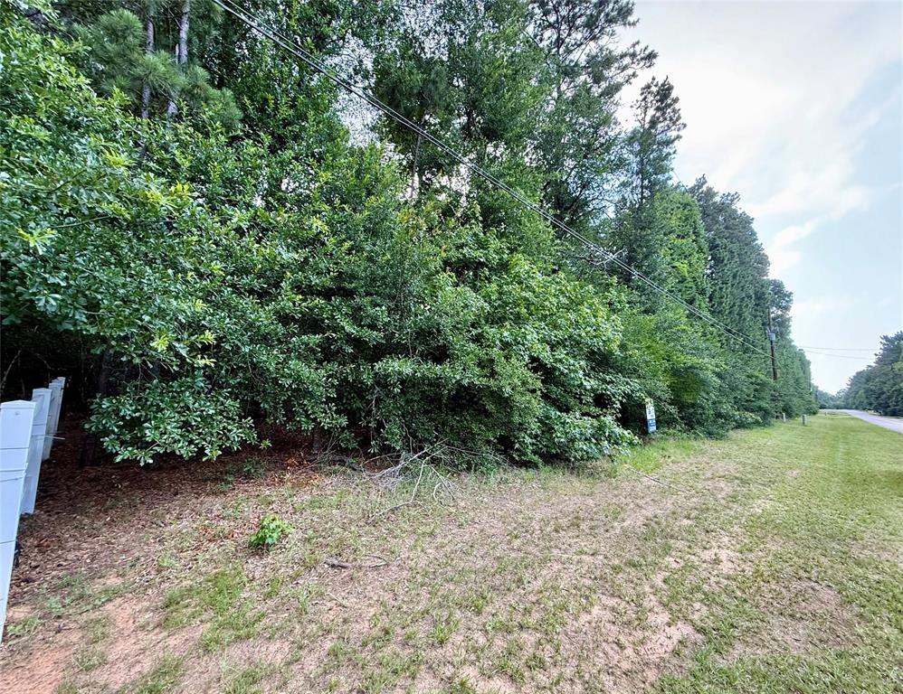 207 Creekside Dr, Magnolia, Texas image 2
