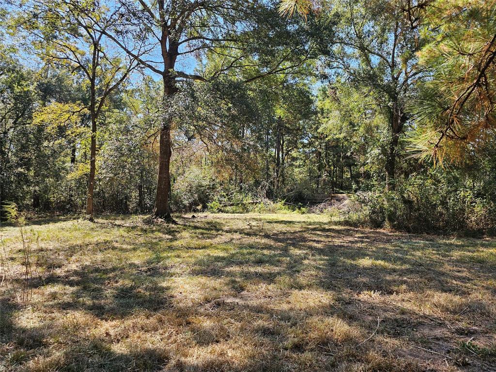 Beaver Run Drive, Huffman, Texas image 3