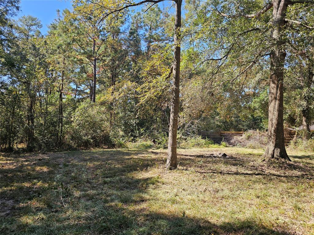 Beaver Run Drive, Huffman, Texas image 4