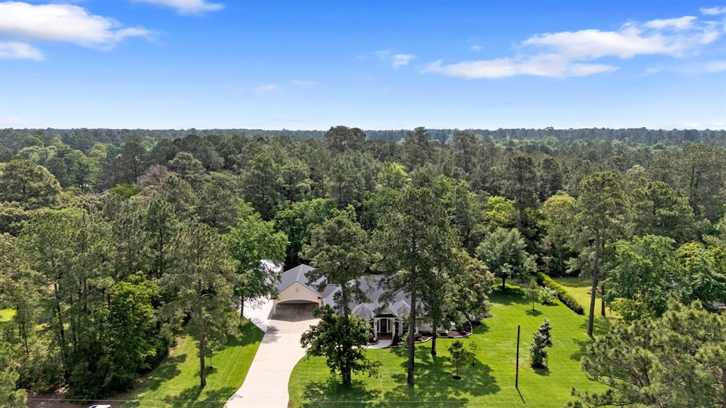 24702 Pipestem Drive, Magnolia, Texas image 1