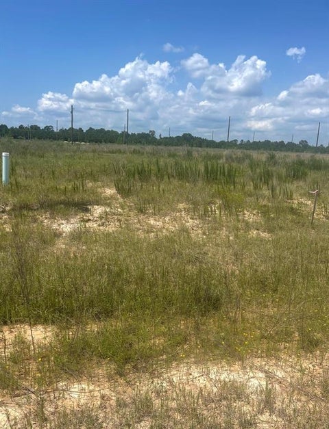 Vacant Land For Sale - 856 Road 591503 Teresa Drive<br/> Liberty County, Cleveland, TX 77327