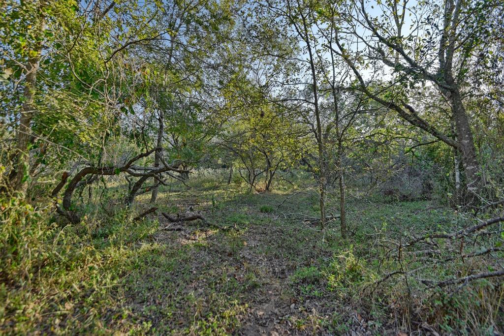 TBD Kerr Rd, Brookshire, Texas image 12