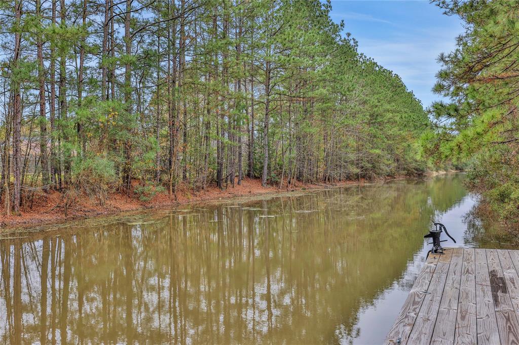 23108 Volga Drive, Porter, Texas image 41