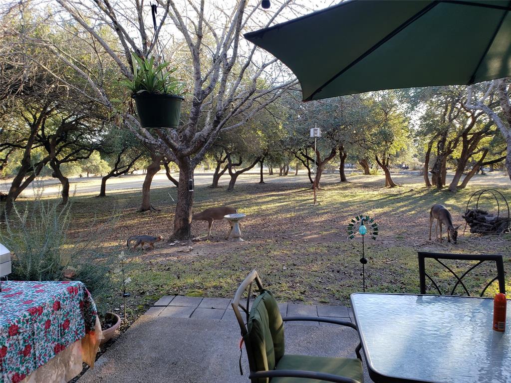 1033 Parkview Drive #G42, Canyon Lake, Texas image 33