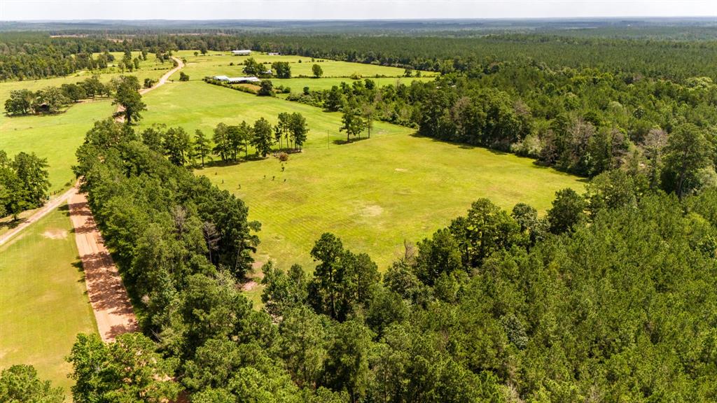 TBD Benny Griffin Road, Livingston, Texas image 9