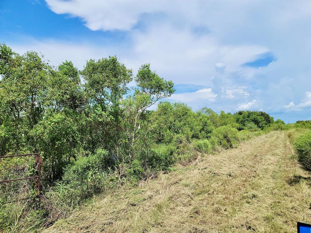 Burr Lane, Winnie, Texas image 7