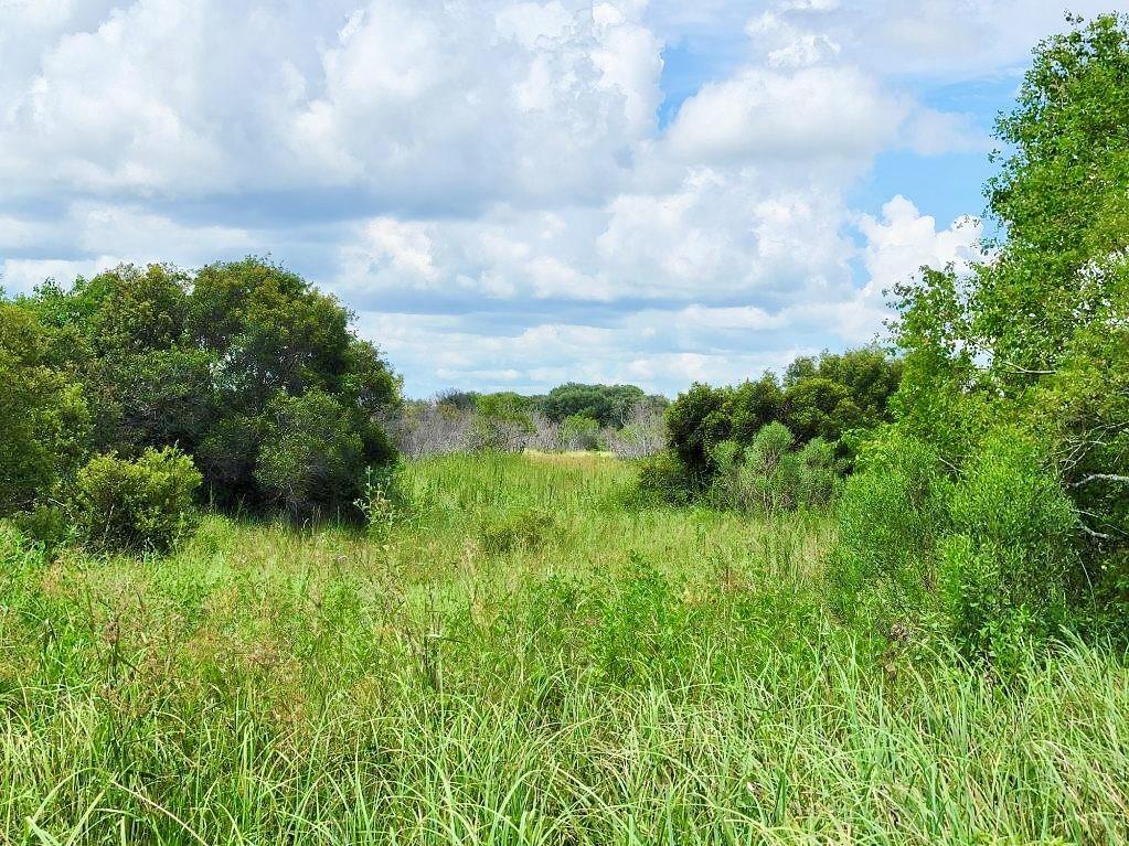 Burr Lane, Winnie, Texas image 1