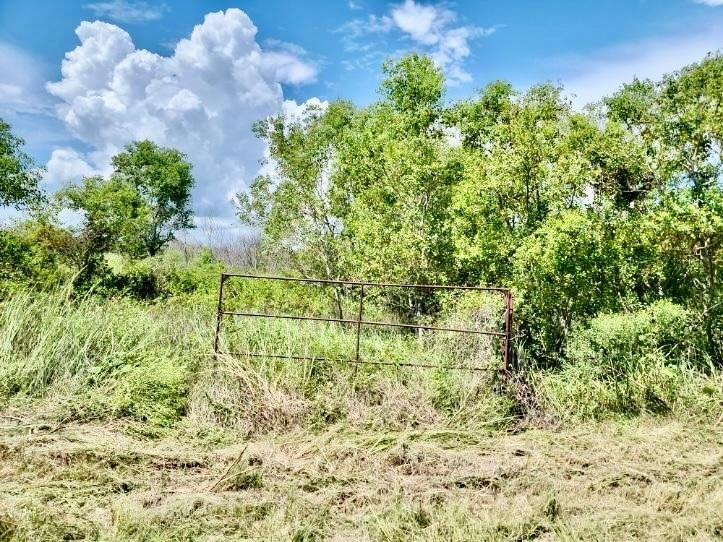 Burr Lane, Winnie, Texas image 4