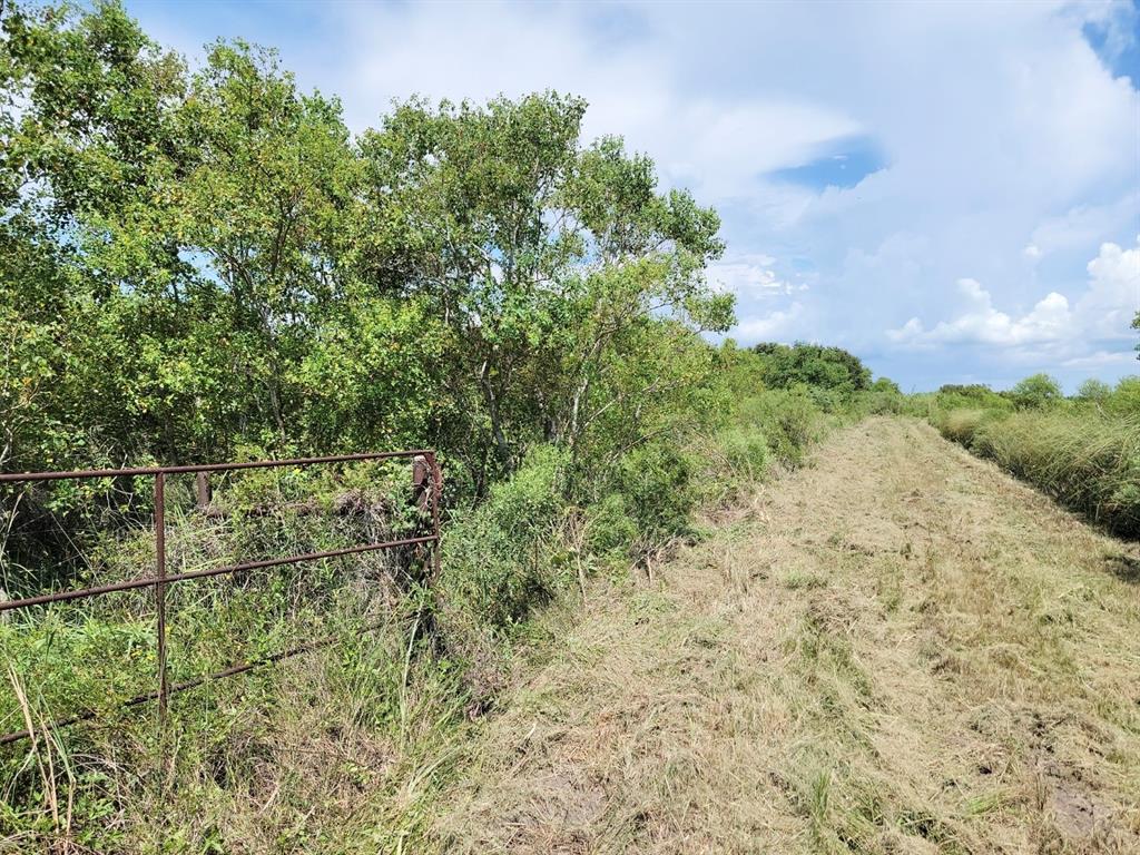 Burr Lane, Winnie, Texas image 5