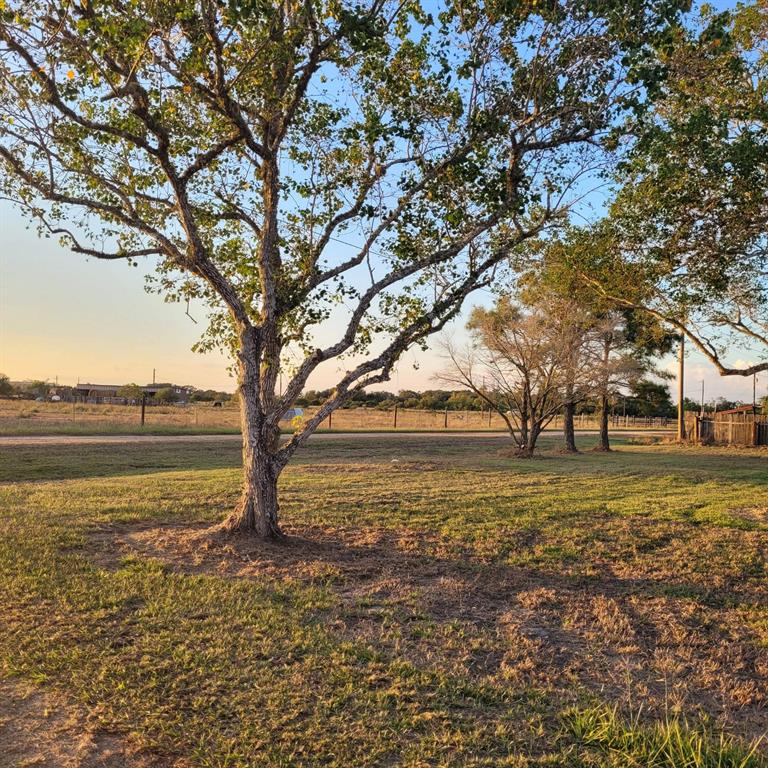 137 Pr 817, Griffin Rd, Blessing, Texas image 33