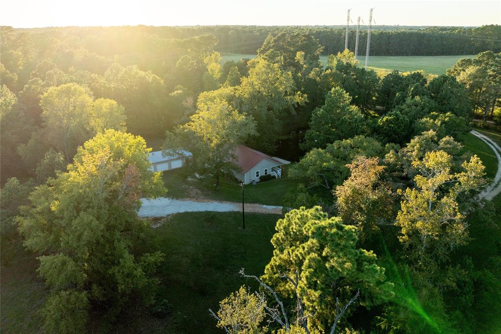 2977 County Road 1545, Crockett, Texas image 9