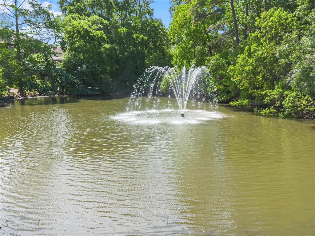 42 Huntsmans Horn Circle, Spring, Texas image 45