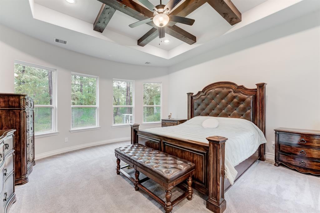 27784 Armadillo Road, Montgomery, Texas image 24