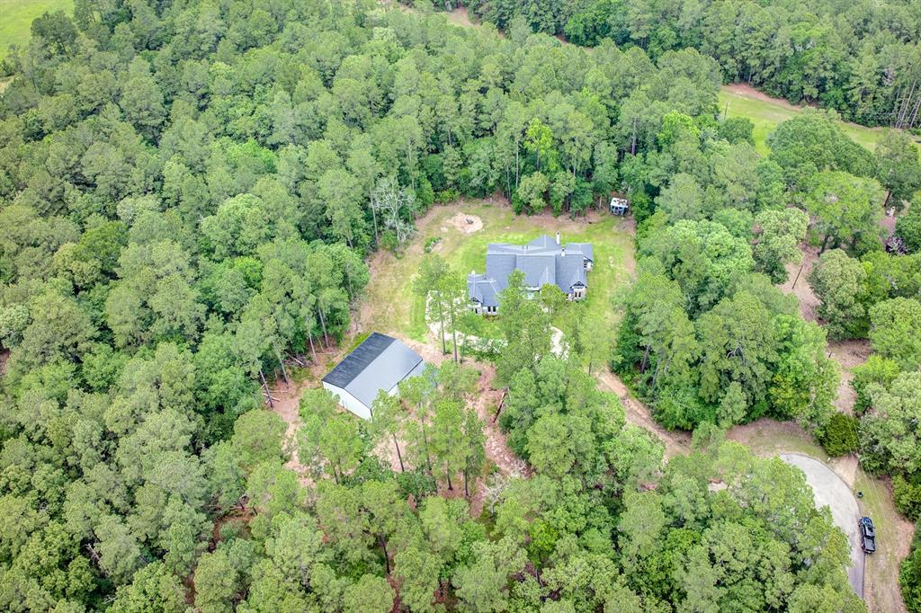 27784 Armadillo Road, Montgomery, Texas image 49