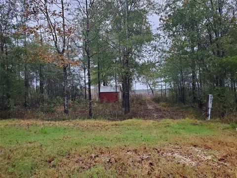 Photo of 442 Vine Arbor Drive, Livingston, TX 77351 (MLS # 66563316)