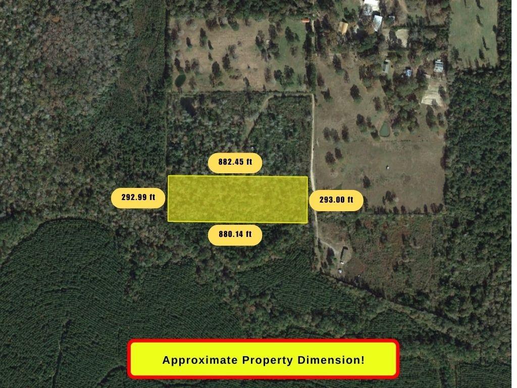 County Road 8894 Lane, Silsbee, Texas image 3