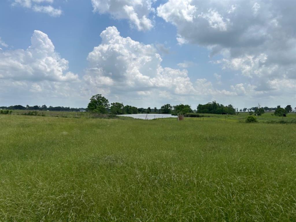 33806 Giboney Road, Hempstead, Texas image 20