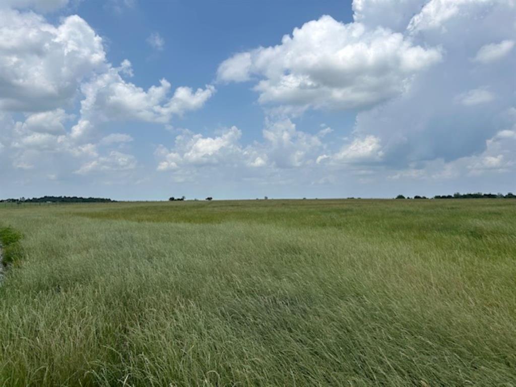 33806 Giboney Road, Hempstead, Texas image 26