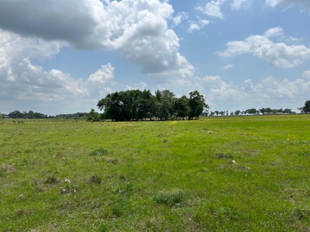 33806 Giboney Road, Hempstead, Texas image 12