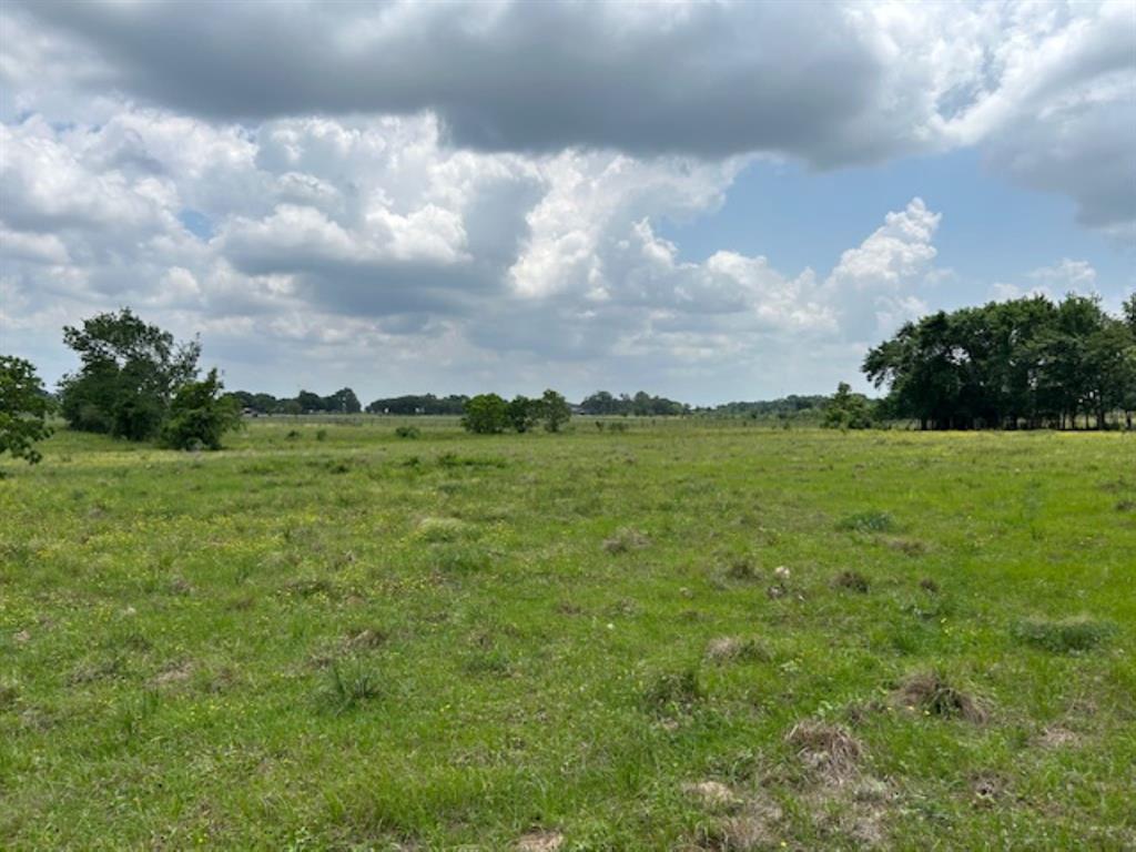 33806 Giboney Road, Hempstead, Texas image 9