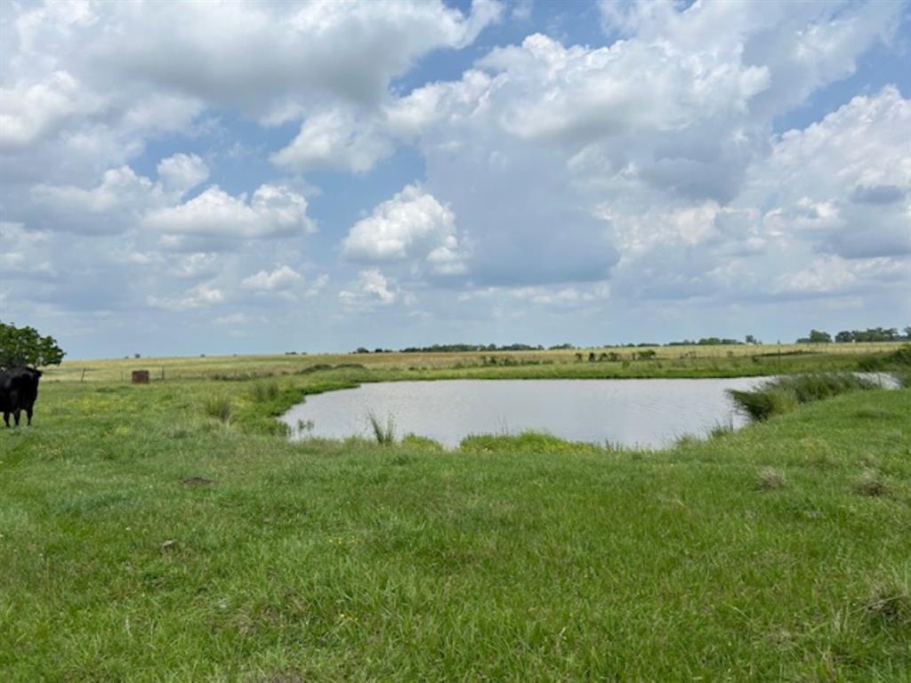 33806 Giboney Road, Hempstead, Texas image 7