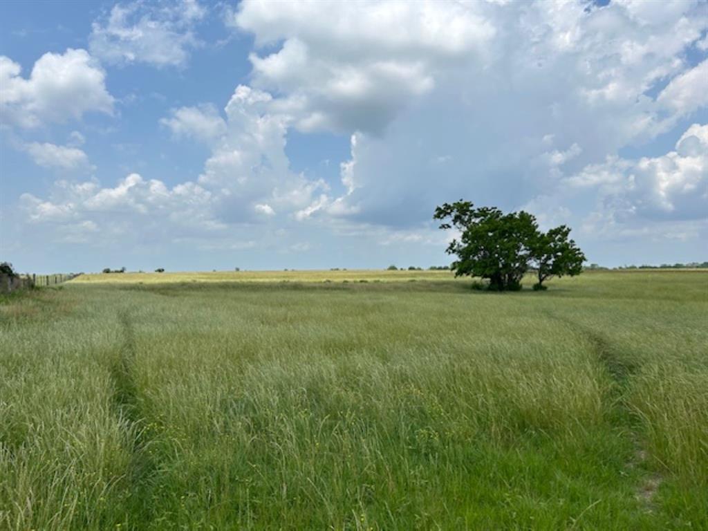 33806 Giboney Road, Hempstead, Texas image 19