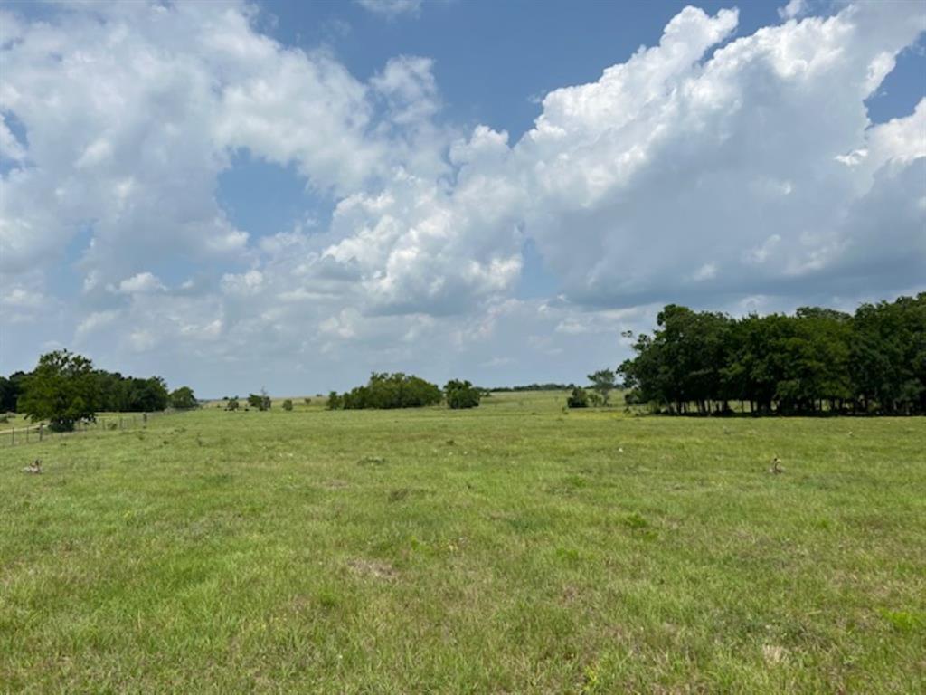 33806 Giboney Road, Hempstead, Texas image 17