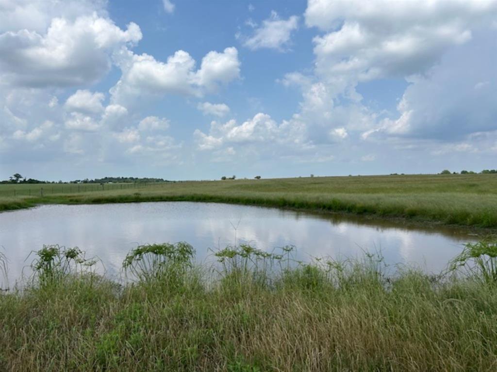 33806 Giboney Road, Hempstead, Texas image 21