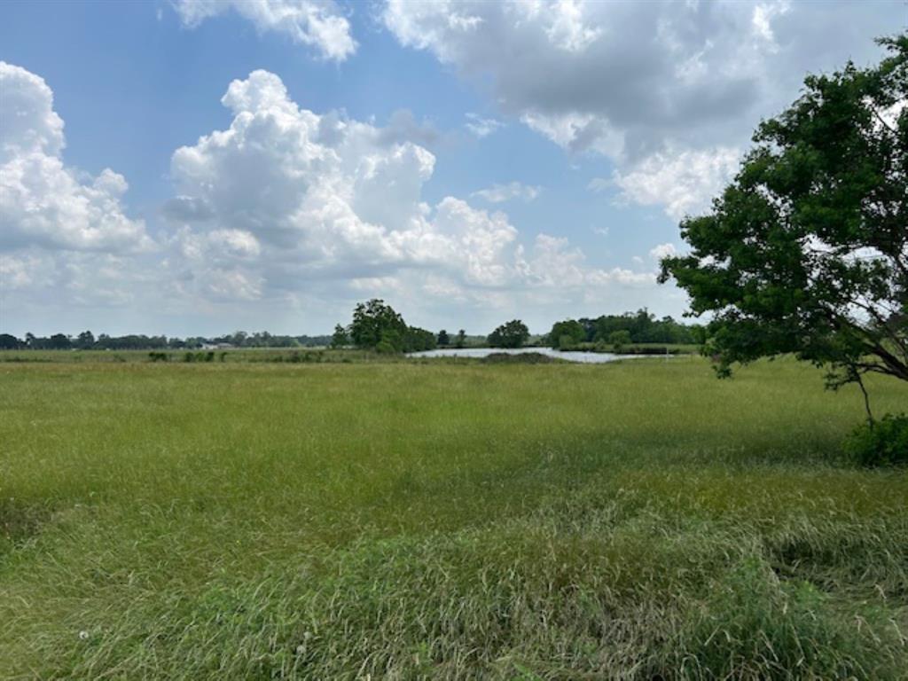 33806 Giboney Road, Hempstead, Texas image 23