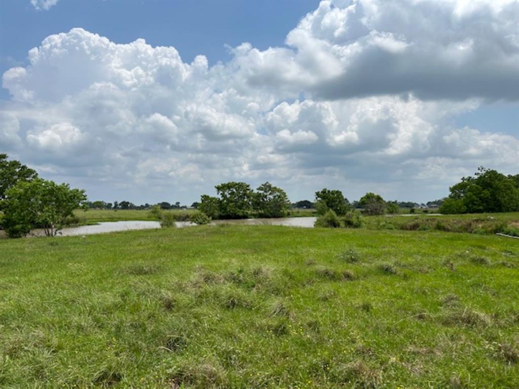 33806 Giboney Road, Hempstead, Texas image 6